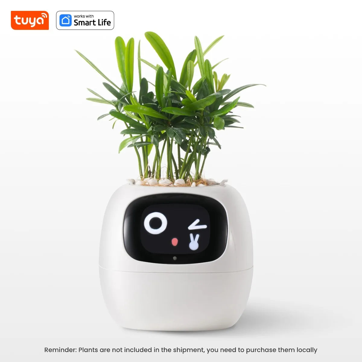 Ivy Smart Planter — AI Plant Care with 49+ Expressions & 7 Smart Sensors