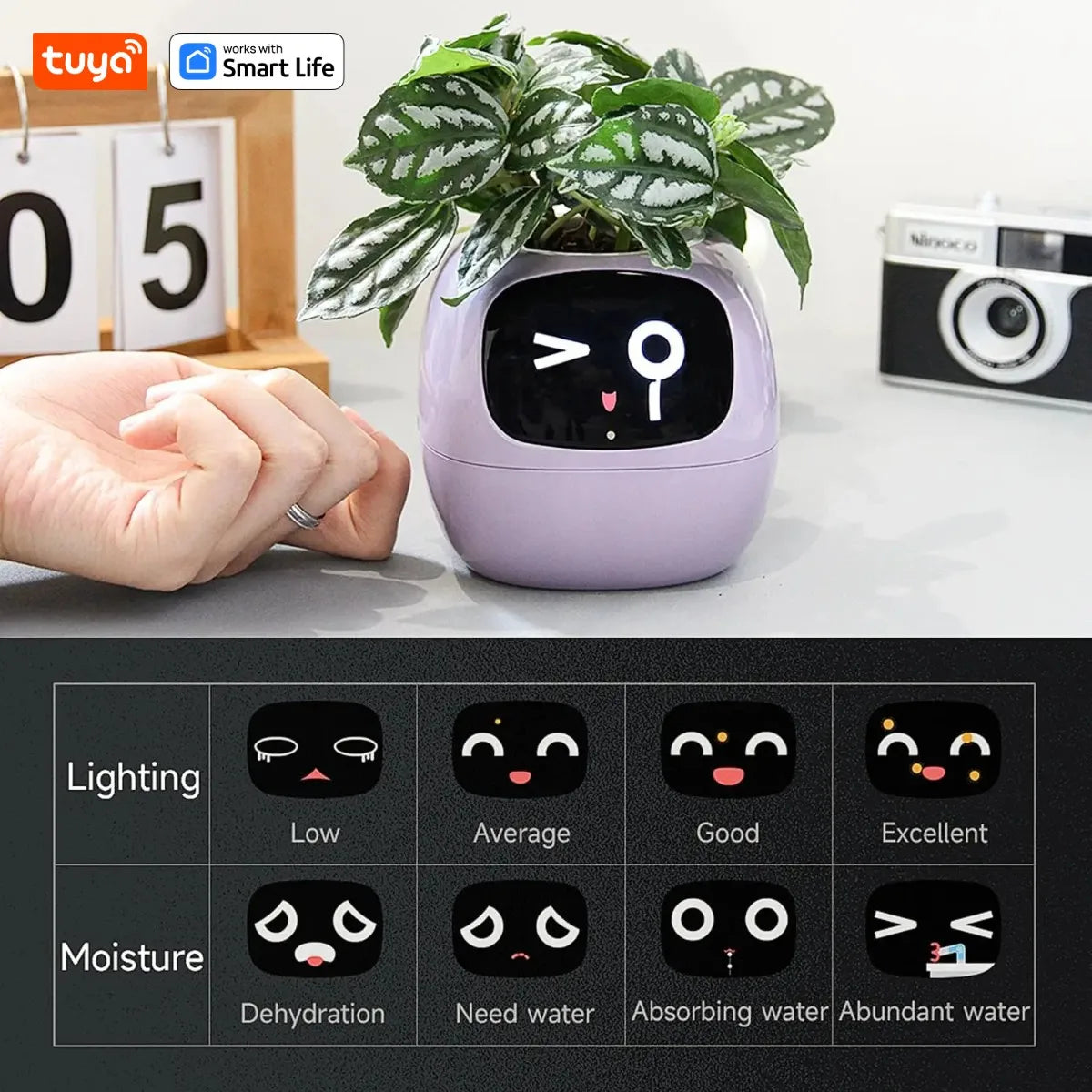Ivy Smart Planter — AI Plant Care with 49+ Expressions & 7 Smart Sensors