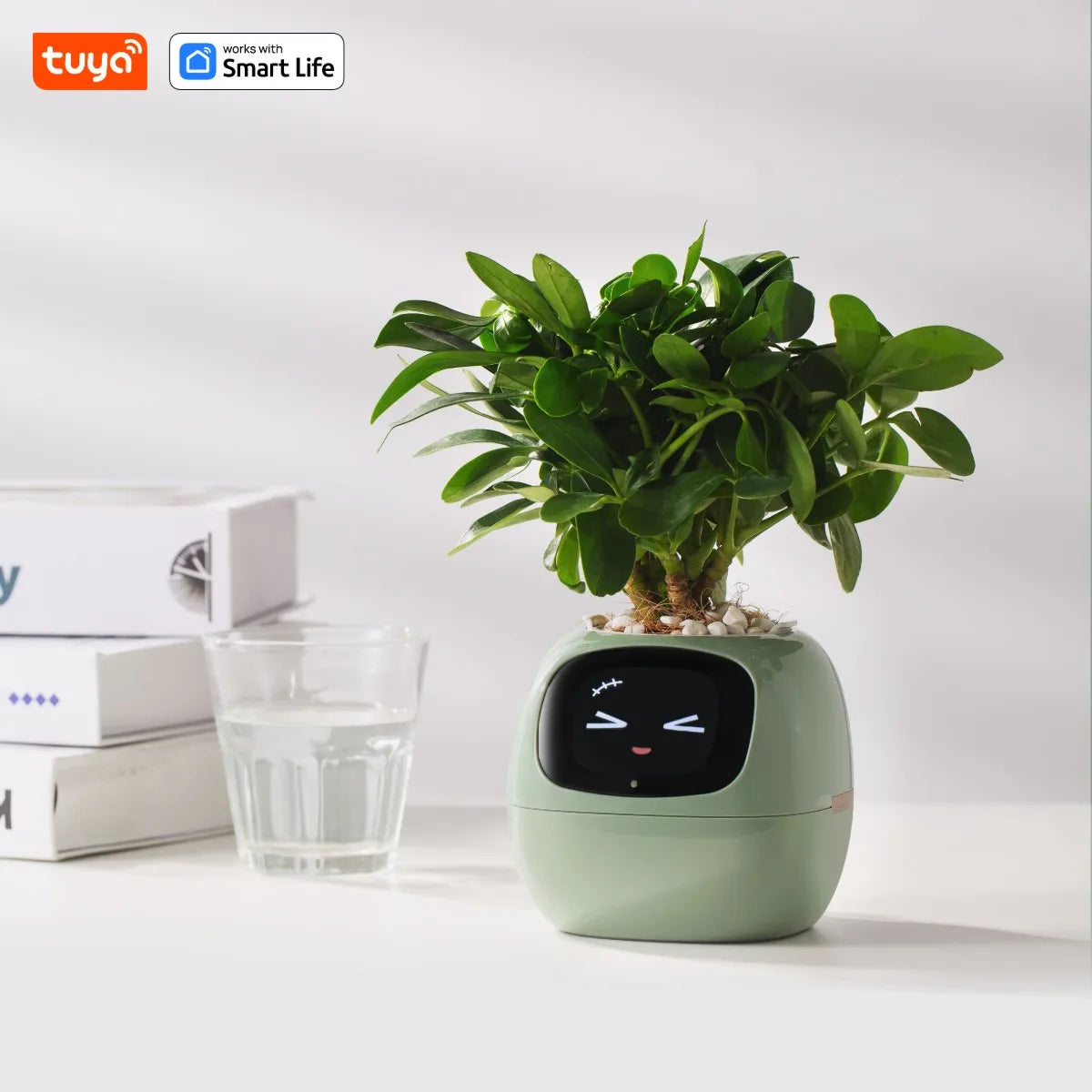 Ivy Smart Planter — AI Plant Care with 49+ Expressions & 7 Smart Sensors