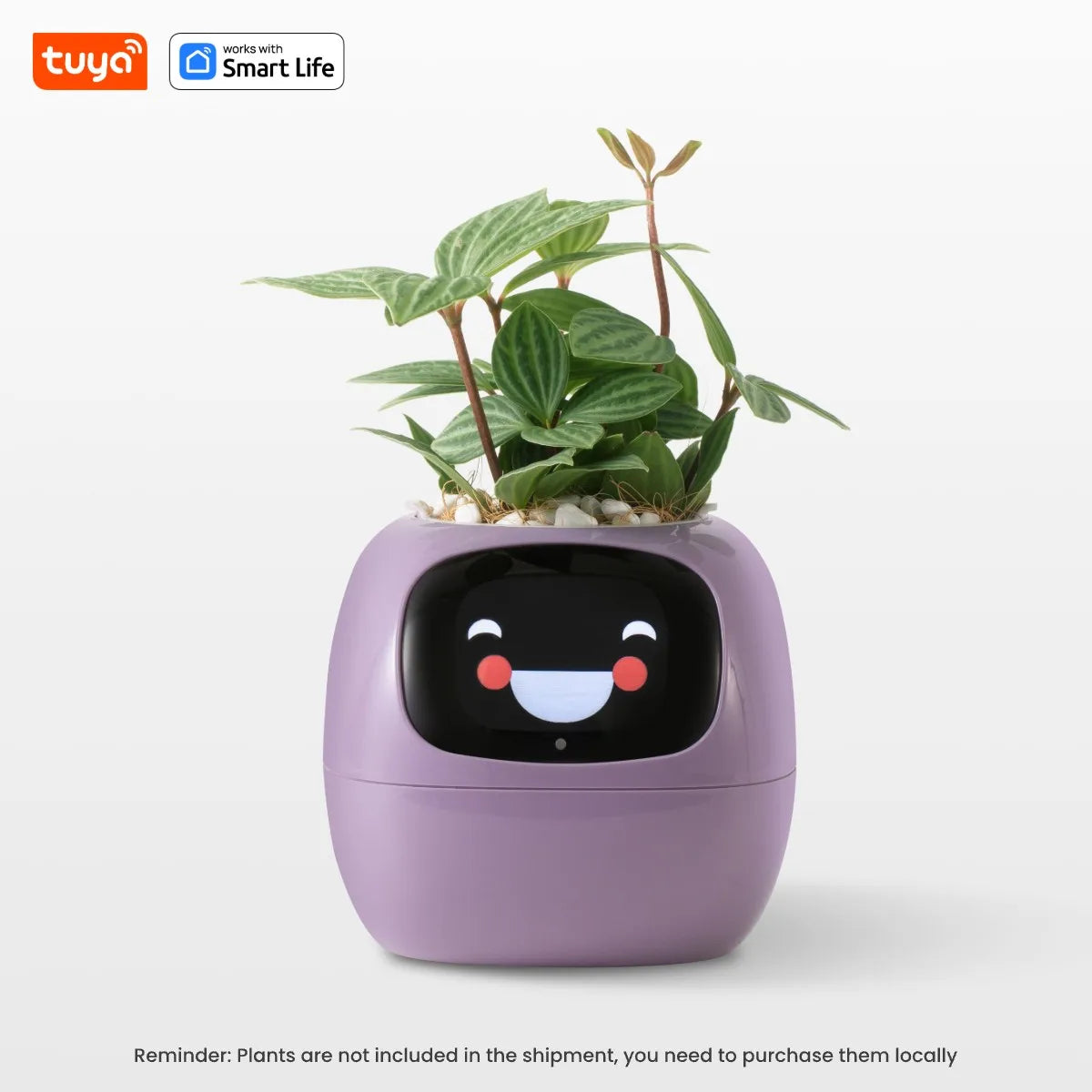 Ivy Smart Planter — AI Plant Care with 49+ Expressions & 7 Smart Sensors